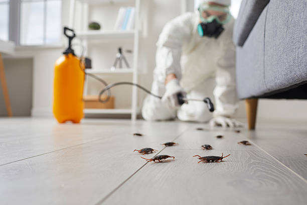 Commercial Kitchen Cockroach Control in DeWitt